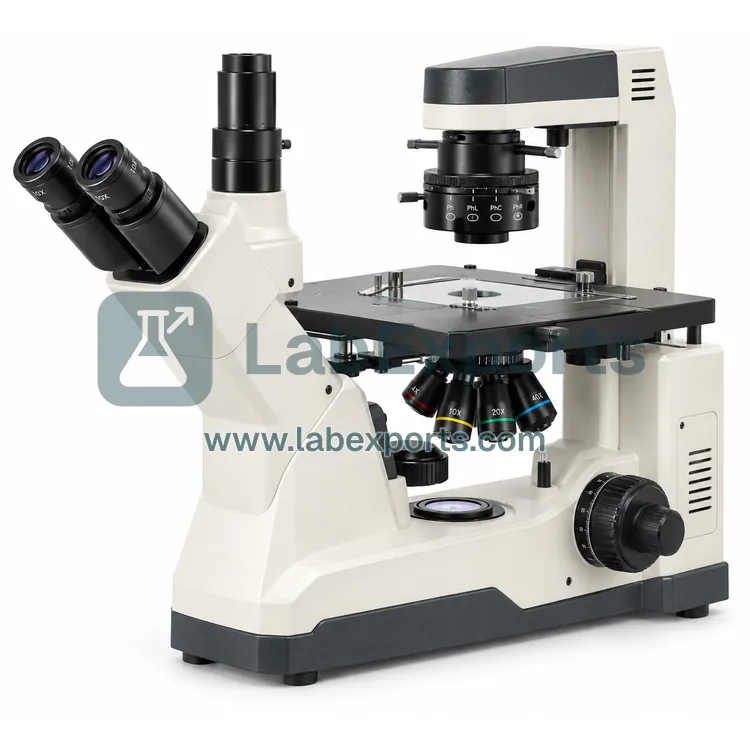 Inverted Microscope